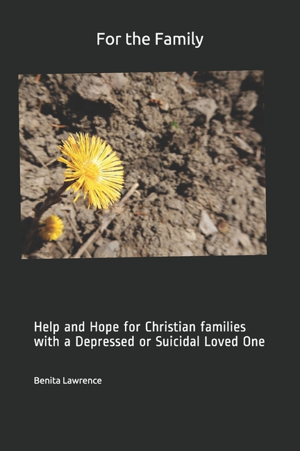 For the Family : Help and Hope for Christian Families with a Depressed or Suicidal Loved One (Paperback) - image 1 of 1