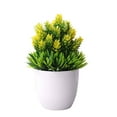 thumbnail image 1 of Naturegr Artificial Potted Plant ,Fake Bonsai,Table Simulation Decor for Home Office Hotel, 1 of 7