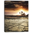 thumbnail image 2 of Desert Gopi Cracked Drought Land - African Landscape Canvas Art Print, 2 of 3