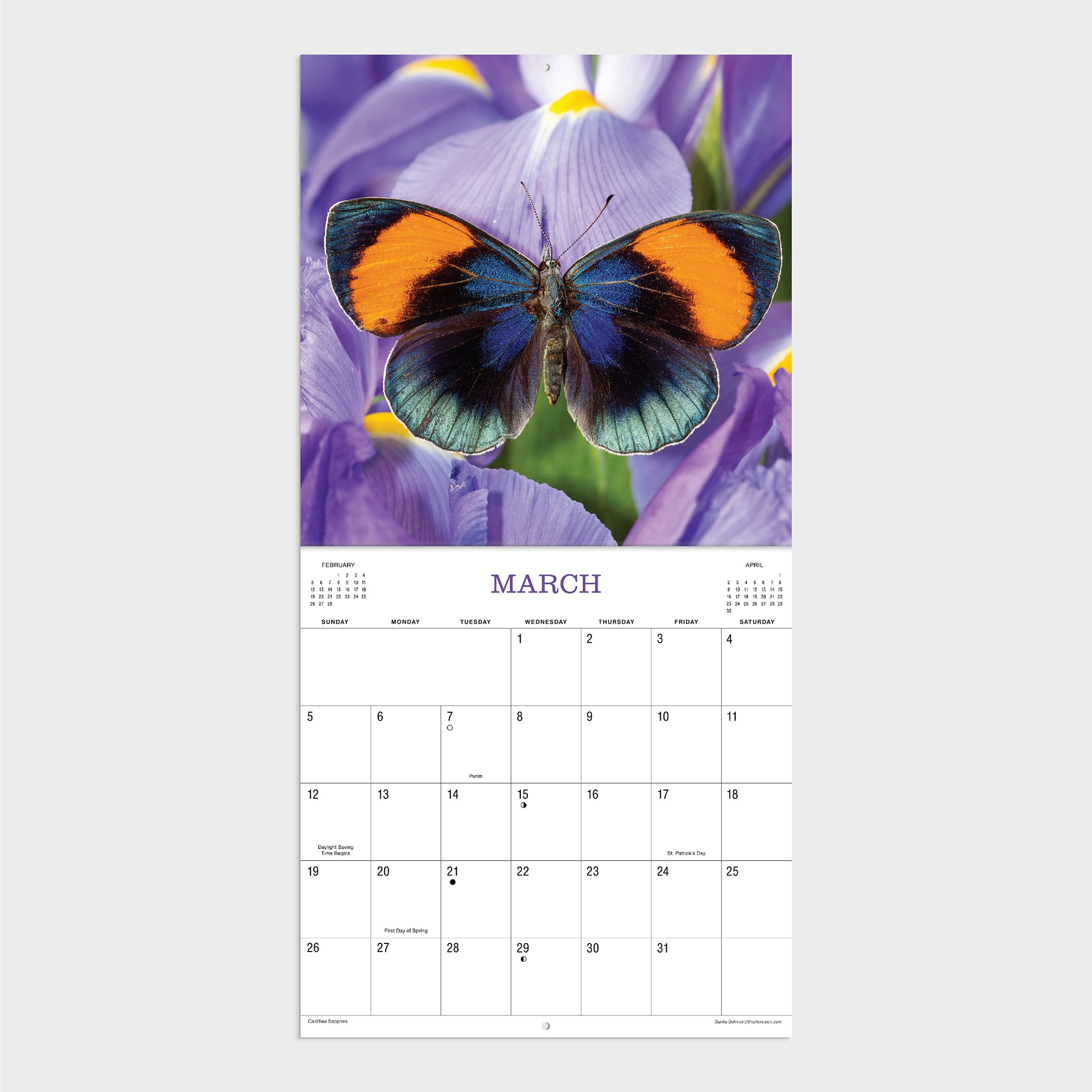 2023 - 12 Month Calendar-Butterfly- 12x12 Hanging Wall Calendar by DaySpring