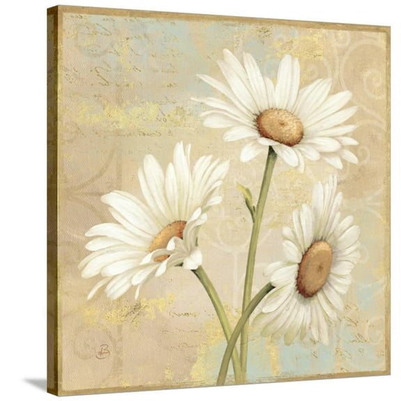 Art.com Beautiful Daisies II Stretched Canvas Print Wall Art by Daphne Brissonnet, 30" x 30"