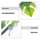 thumbnail image 3 of unbranded Transparentes Para Betta Con Multifuncional Para Descanso Y En Acuario, 3 of 8