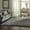Cream/Onyx, variant on Gertmenian Ultimate Shag Solid Color Smoke Indoor Area Rug, 6x9