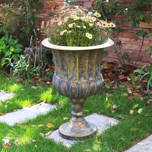 anthurium aldi Anthurium 'Tim Anderson 420 Dark Mag' X 'Tim Anderson Stripey Mag Pap' –  Nice Plants Good Pots main image 1