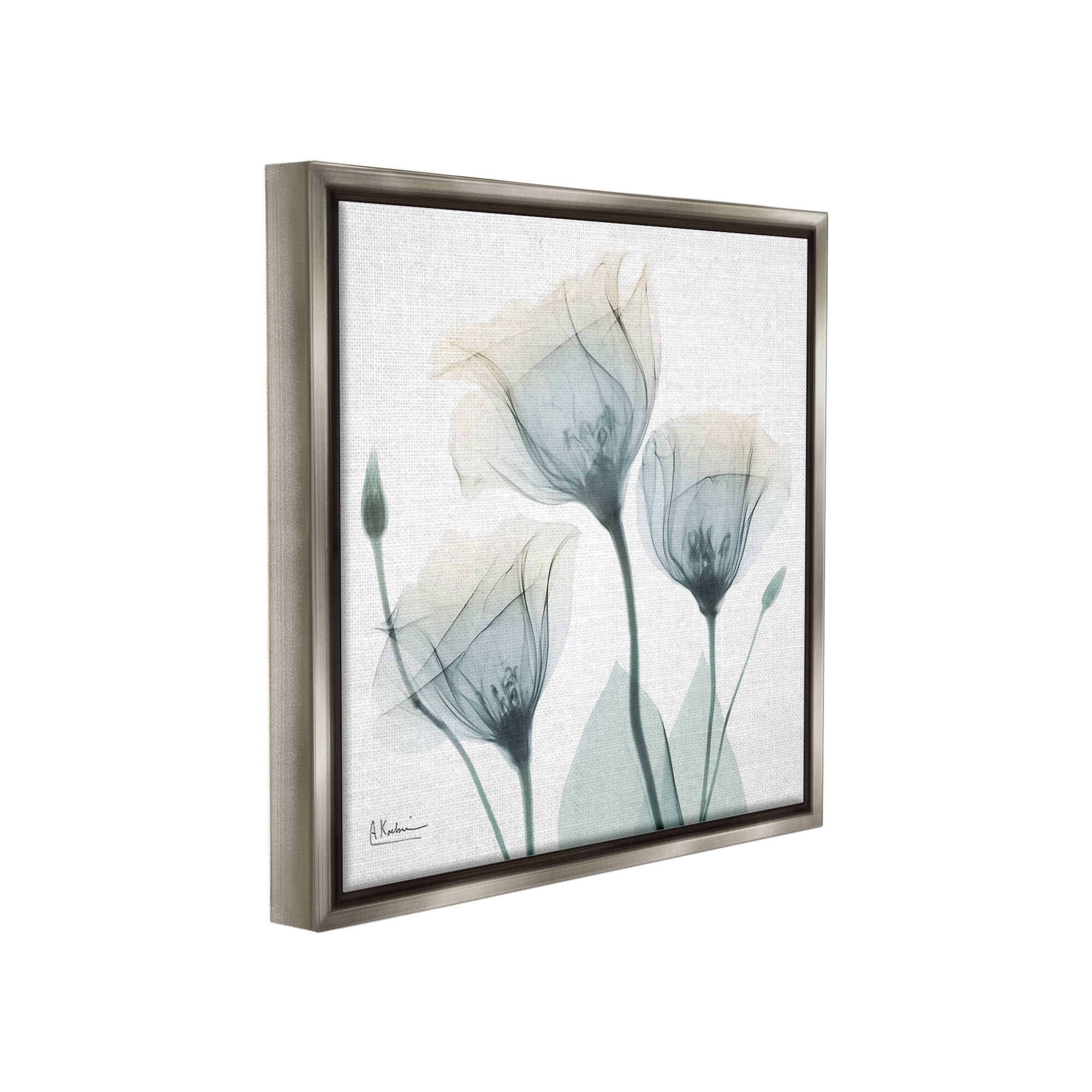 Stupell Industries Soft Opaque Tulips Botanical & Floral Photography Gray Floater Framed Canvas Art Print Wall Art, 25 x 25