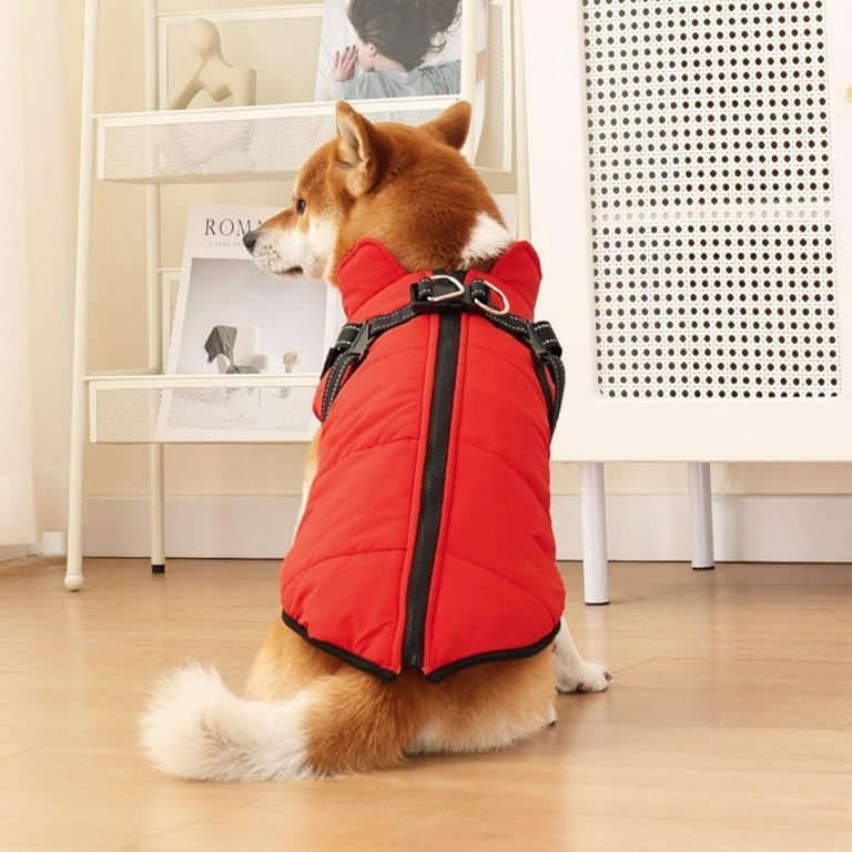Corgi winter coat hot sale