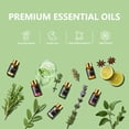 thumbnail image 6 of MAYJAM 20Pcs Essential Oils For Humidifier, Aromatherapy Oil Diffuser Oils For Candle Making, 6 of 11