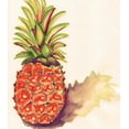 thumbnail image 2 of Seay, Anne 26x29 White Modern Wood Framed Museum Art Print Titled - Orange Pineapple, 2 of 4
