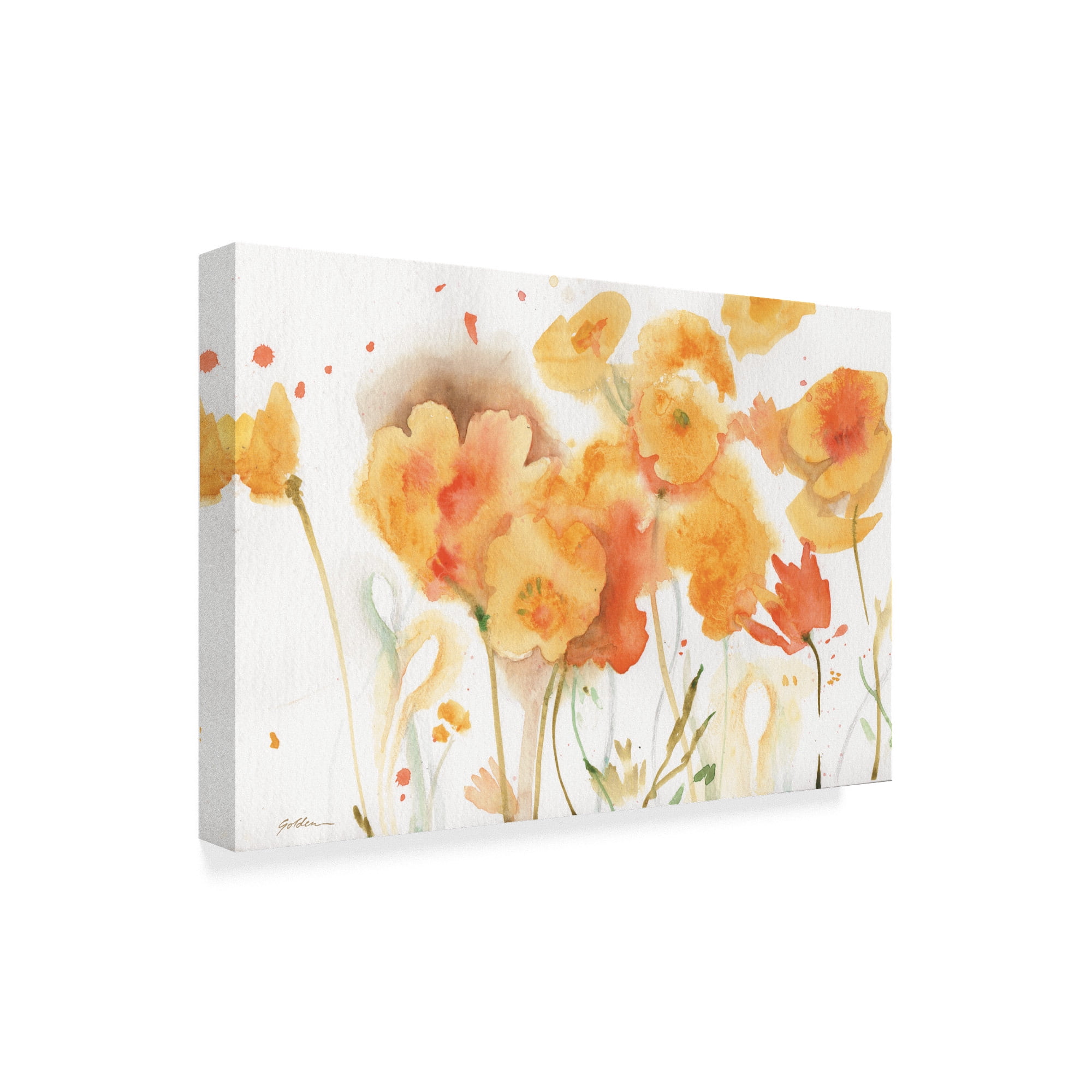 Trademark Fine Art 'Sunlight Poppies' Canvas Art by Sheila Golden