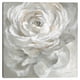 thumbnail image 1 of Cuadros Decorativos Jr Rosa Blanca Canvas, 1 of 1