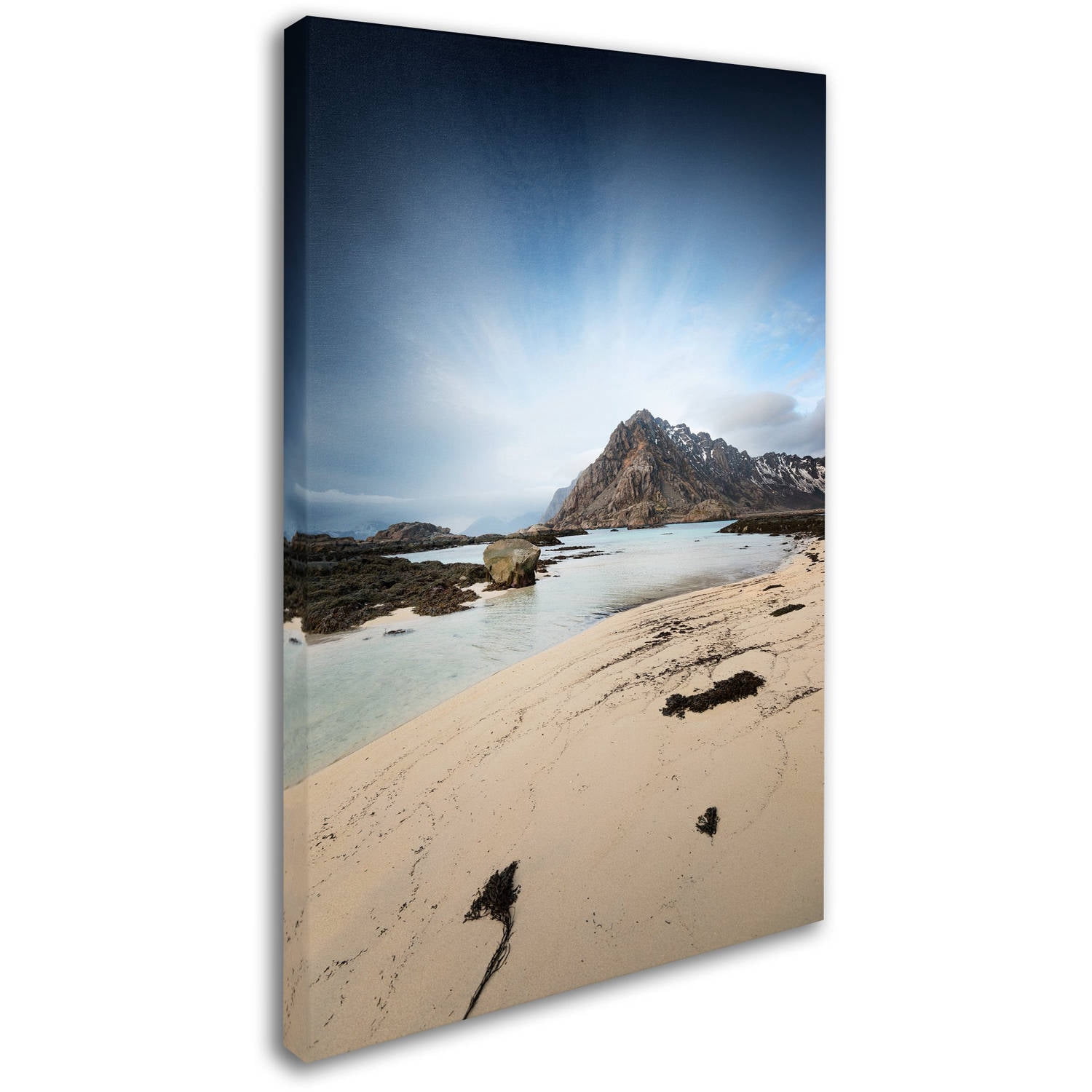 Trademark Fine Art "The Little Things" Canvas Art by Philippe Sainte-Laudy