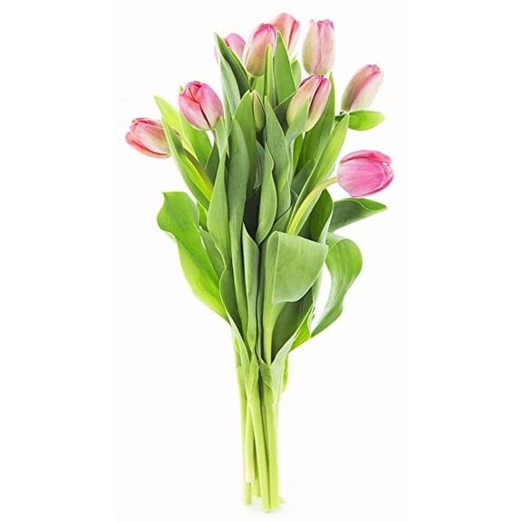 KaBloom : Bouquet of 10 Pink Tulips, Next-Day Delivery, Gift for Every Occasion