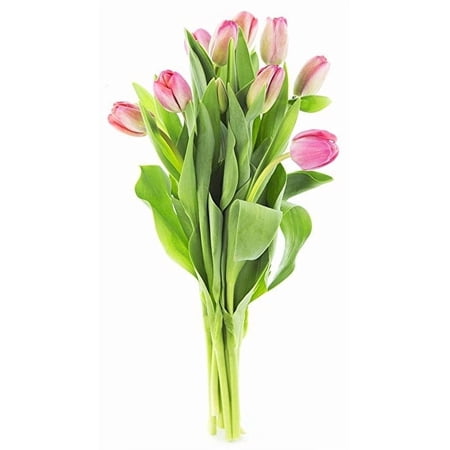 KaBloom : Bouquet of 10 Pink Tulips Next-Day Delivery Gift for Every Occasion
