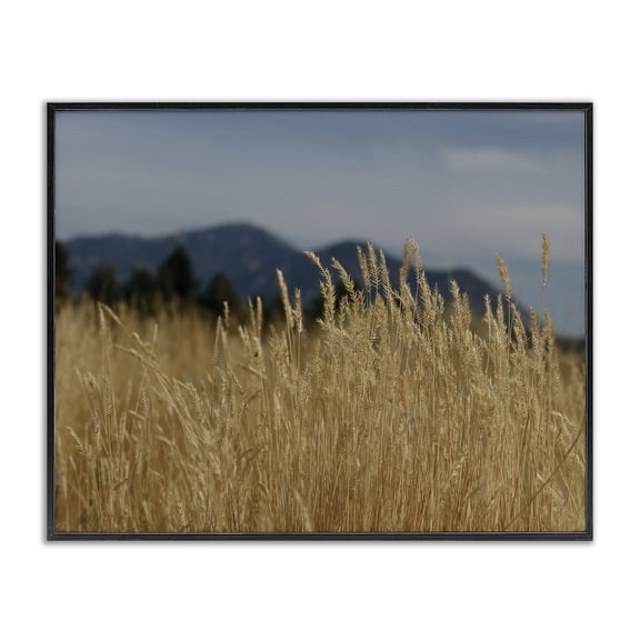 Stupell Industries Rustic Lodge Wheat Field Landscape Black Framed Giclee Art, 14 x 11, by Sue Schlabach