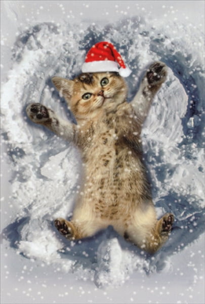 snow kitten cards angel card cats boxed nobleworks box merry kitty greeting papercards walmart
