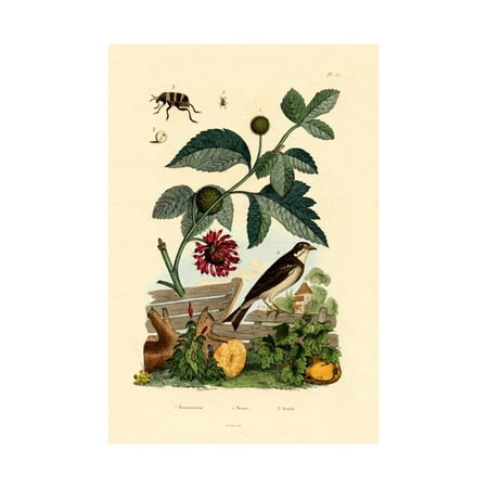 Art Stitched Mulberry Paper - Paper Mulberry, 1833-39 Print Wall Art