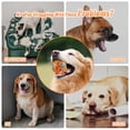 thumbnail image 4 of Pelotas de tenis indestructibles para perros FUSOTO para masticadores agresivos, 4 of 9
