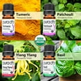thumbnail image 2 of PURA D'OR Sweet16 Organic Essential Oil Wood Box Set 10mL X 16 - Calm Daily mental Relief - Lavender, Eucalyptus, Sweet Orange, Lemongrass, Tea Tree, Lemon, 2 of 5