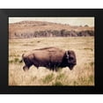 thumbnail image 2 of Van Swearingen, Debra 24x20 Black Modern Framed Museum Art Print Titled - Buffalo I, 2 of 5