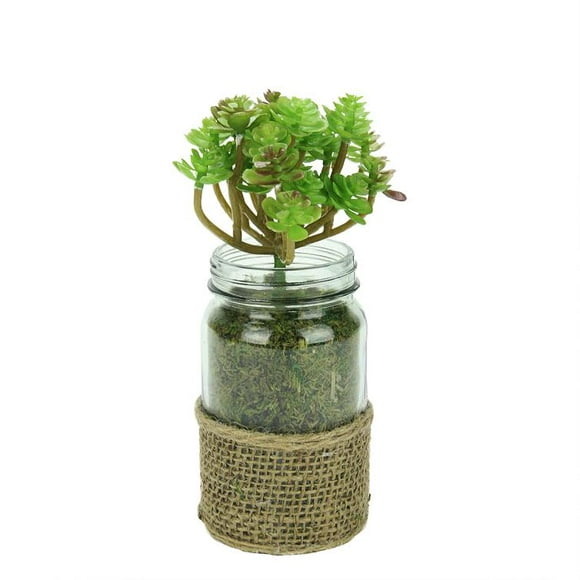 Diva At Home 7.25" Plante Succulente Artificielle en Pot Verte et Brune dans un Bocal en Verre avec Poignée en Toile de Jute
