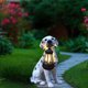 thumbnail image 2 of Adornos De Resina Lámpara colgante solar para perro, adorno de resina para jardín al aire libre con luz LED nocturna de 30 cm JASKFLY, 2 of 9