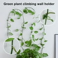 thumbnail image 4 of Sunjoy Tech 50Pcs/100Pcs/150Pcs Plant Fixture Clip Wall Mounted Vine Fixing Clip Self-Adhesive Hook Plant Support Vine Clips for Indoor Outdoor Climbing Plants, 4 of 8
