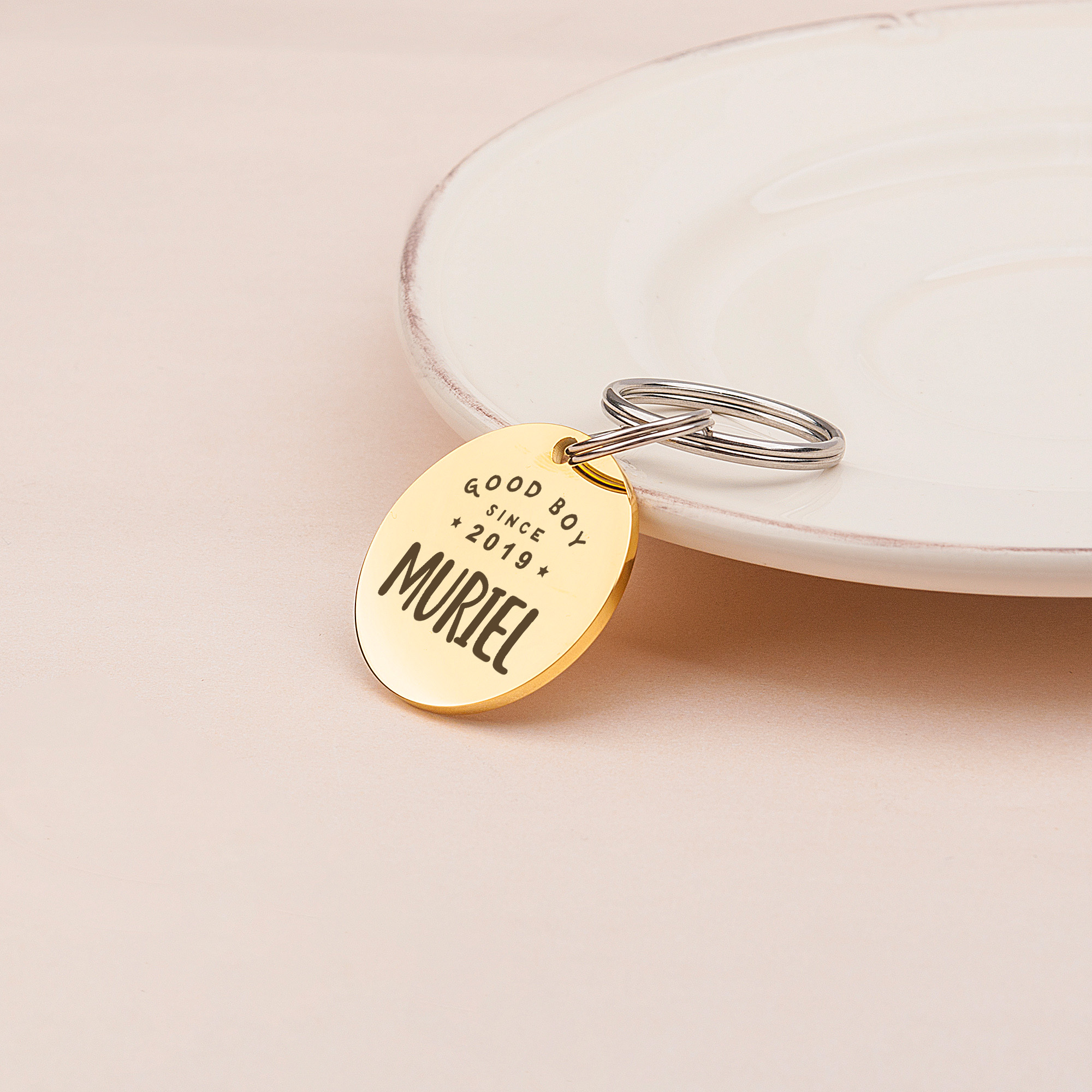 Anavia Metal Stainless Steel Round Name - Good Boy Girl - Birth Year Birthday Holiday Christmas Engraved Dog Cat ID Tag, Gold