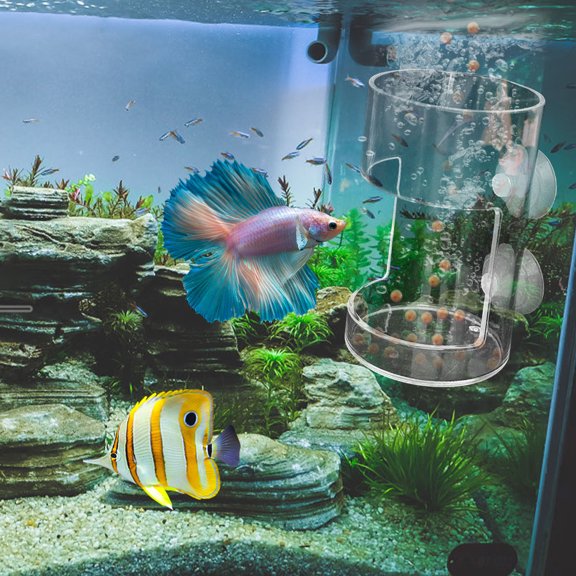 Parrotfish Feeder, Floating Fish Food Dispenser, Clear Large Plastic Feeding Tube with Suspended Feeding Ring, Durable Floating Food Feeder for Goldfish Bird