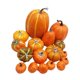 thumbnail image 2 of 16 calabazas artificiales de espuma para manualidades, calabazas decorativas para decoración de otoño, calabazas de simulación para las vacaciones de, 2 of 9
