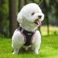 thumbnail image 3 of AIITLE Extra Small Dog Harness, No Pull, Reflective, Adjustable, Breathable, Quick-Release, Black XXS, 3 of 7