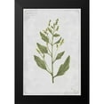 thumbnail image 2 of PI Collection 13x18 Black Modern Framed Museum Art Print Titled - Lambs Quarters, 2 of 5