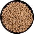Cooked Ground Beef Freeze Dried Survival & Emergency Food 10 Can