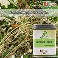 thumbnail image 2 of NY Spice Shop Cerasee Herb - 1 Pound - Jamaican Herbal Cerasee Tea – Not Tea Bags – Raw, Cut & Sifted, 2 of 5
