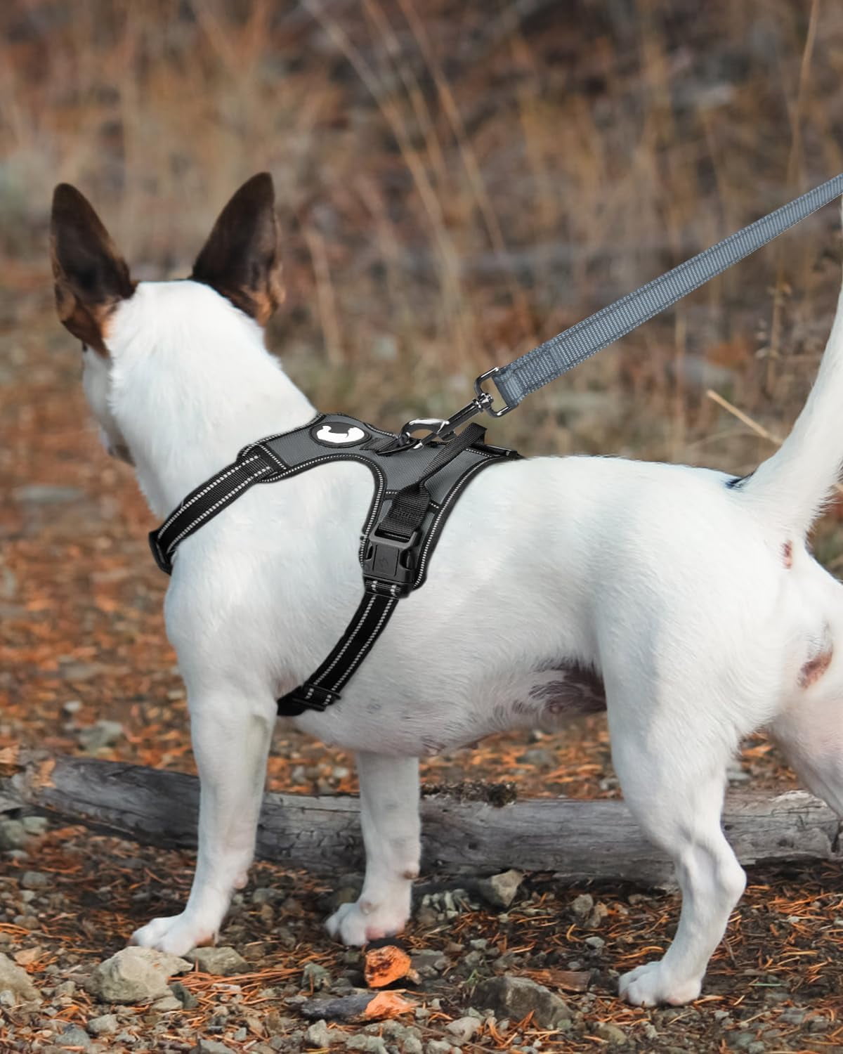 Solennerer Dog Leash Heavy Duty Pet Leash 2 Traffic Padded Handles Reflective Leash for Medium to Large Dogs