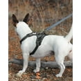 thumbnail image 3 of Solennerer Dog Leash Heavy Duty Pet Leash 2 Traffic Padded Handles Reflective Leash for Medium to Large Dogs, 3 of 6