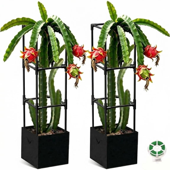 MQHUAYU 2Pack 47.3in Metal  Dragon Fruit Trellis,2-in-1 Plant Support Cage for Dragon Fruit & Cactus, Indoor Outdoor Use