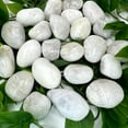 White River Rocks for Plants - 15 Pounds - White Rocks with Smooth ...