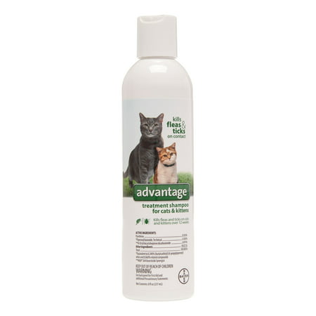 Advantage II Cat / chaton Puces et Tiques Shampooing, 8 Oz