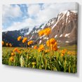 thumbnail image 2 of Mountain Meadow with Yellow Flowers - Large Flower Canvas Art Print, 2 of 3