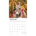thumbnail image 4 of Donkeys | 2026 12x24" (Hanging) Square Wall Calendar | Plastic-Free, 4 of 9