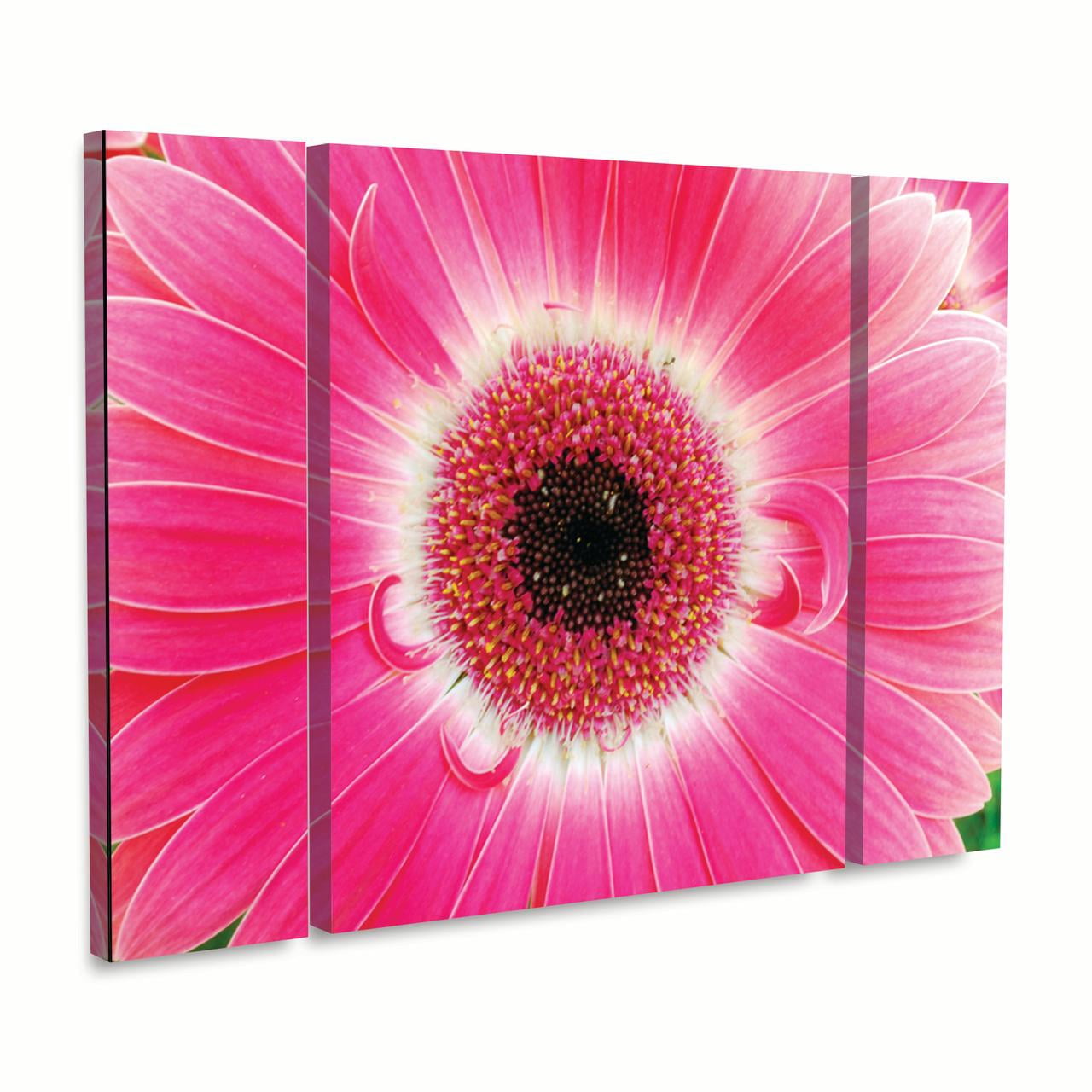 Trademark Fine Art 'Pink Gerber' Canvas Art by Kurt Shaffer