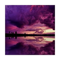 Trademark Fine Art 'Secret World' Canvas Art by Philippe Sainte-Laudy