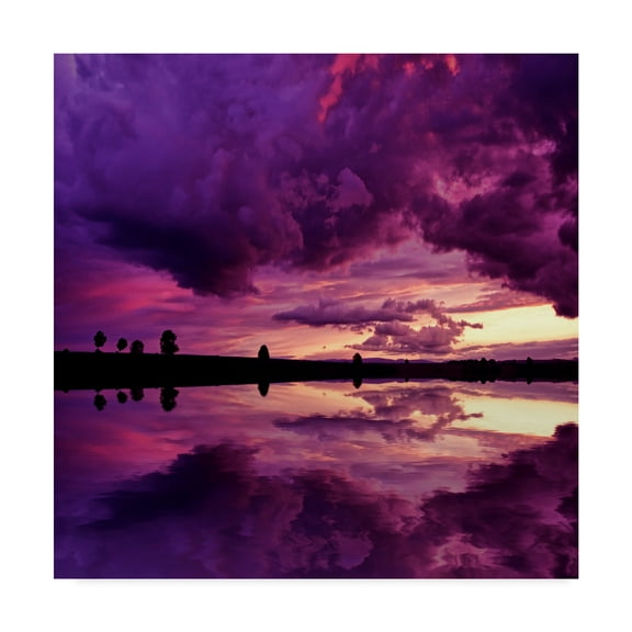 Trademark Fine Art 'Secret World' Canvas Art by Philippe Sainte-Laudy