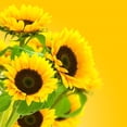 thumbnail image 2 of Image D'une Fleur Tournesol Wall Mural by Wallmonkeys Peel and Stick Graphic (24 in H x 24 in W) WM247164, 2 of 4
