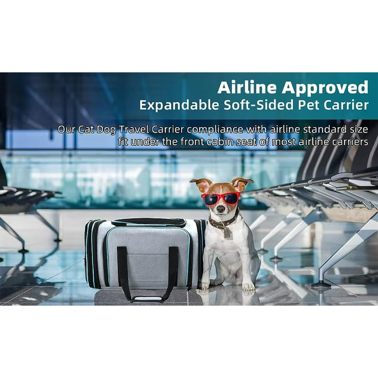 Airplane Seat Spirit Airlines Dog Carry On Cabin Spirit Airlines Pet