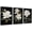 NO.0172, variant on Hieng 3 Piece Floral Canvas Wall Art Magnolia Flowers Pictures Black and White Flowers Painting Prints Modern Bedroom Living Room Home Decor Unframed