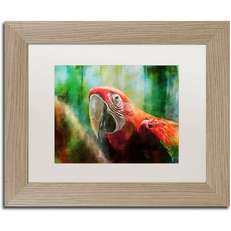 Green Macaws Framed Trademark Fine Art