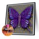 thumbnail image 5 of Pintura de diamante 5D Wdftyju DIY Mariposa Libélula K277, 5 of 9