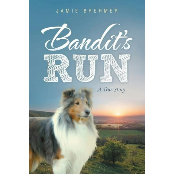 Bandit's Run: A True Story, (Paperback)