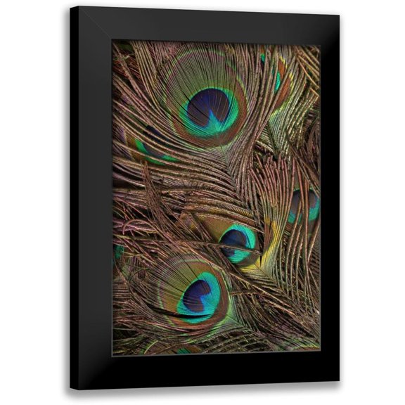 Vision Studio 11x14 Black Modern Framed Museum Art Print Titled - Peacock Feathers IV